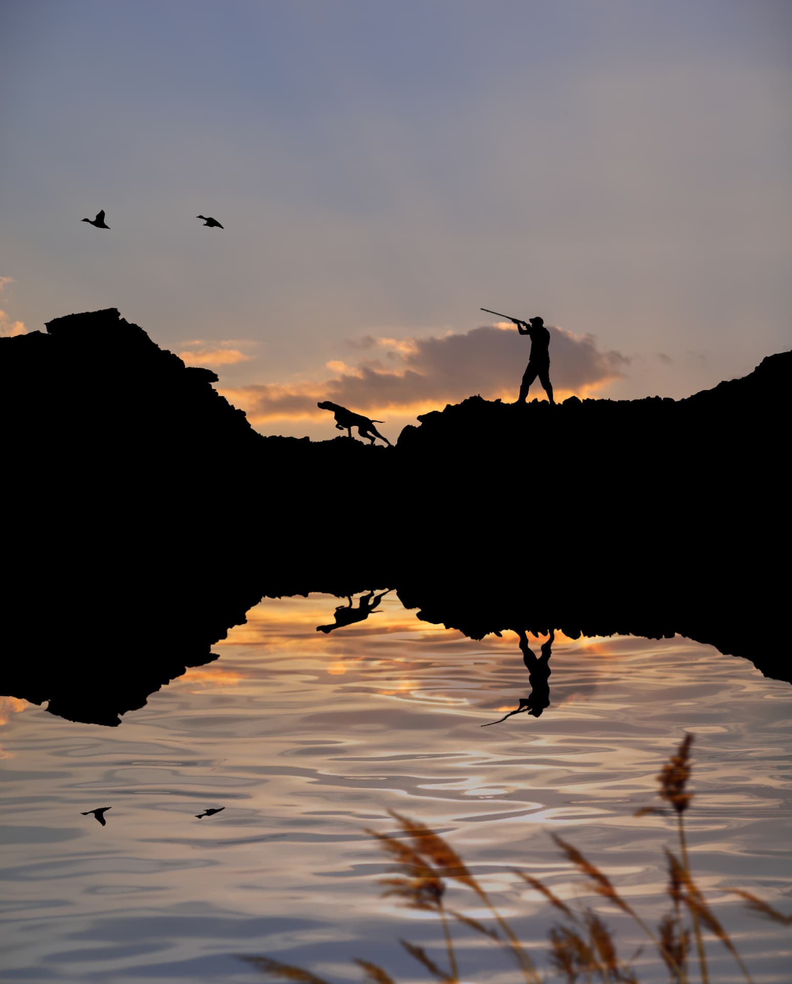 Hunter and dog silhouetted at sunset as ducks fly overhead